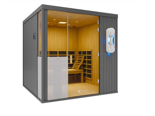 Wellness sauna pods, red light therapy, and salt room for detox and skin rejuvenation
